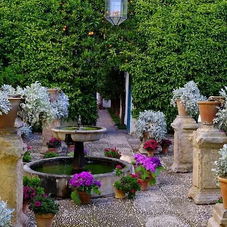 Grupo Limcotel Perla 2 Córdoba