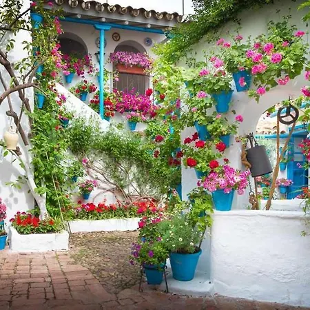 Grupo Limcotel Perla 2