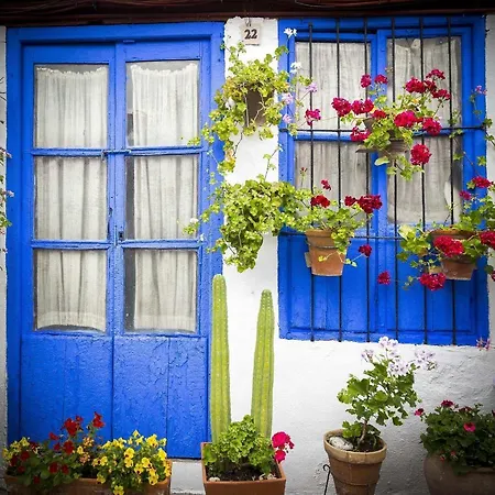 Grupo Limcotel Perla 2 Apartment *