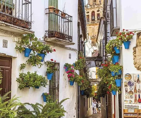 Grupo Limcotel Perla 2