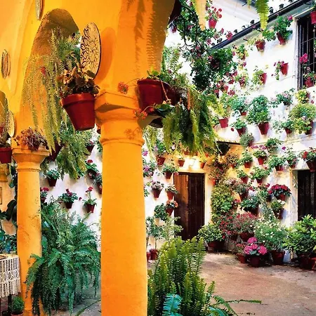 Appartement Grupo Limcotel Perla 2